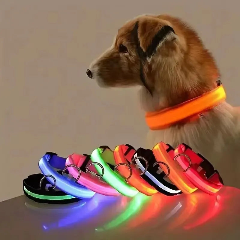 BOOTEELY LED Glow Dog Leash