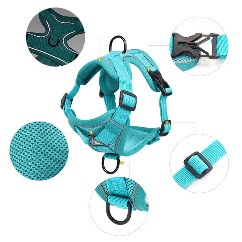 Reflective Mesh Cat Harness Set