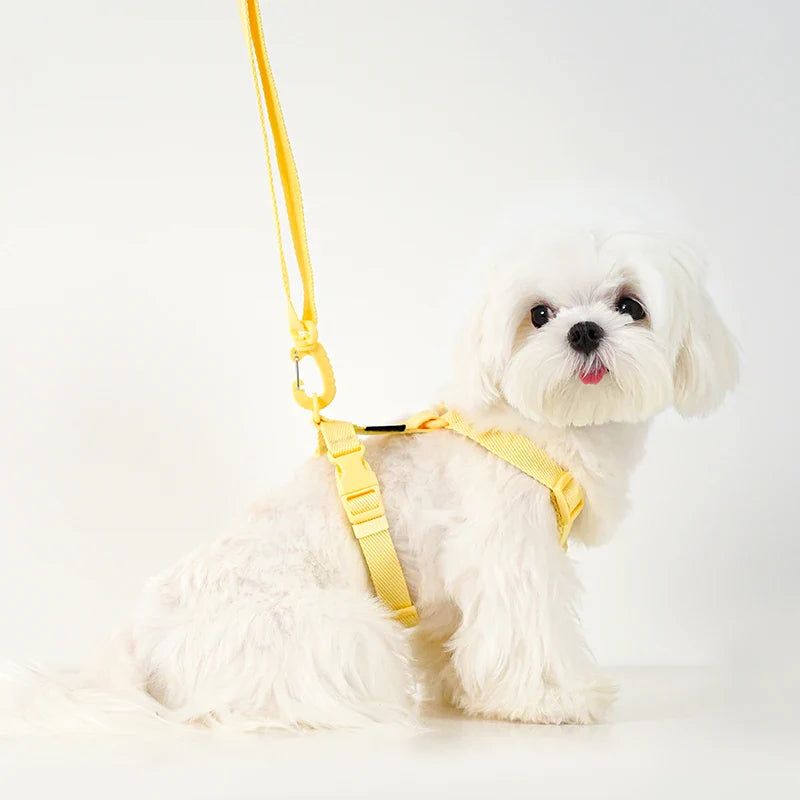Macaron Dog Harness Leash Set