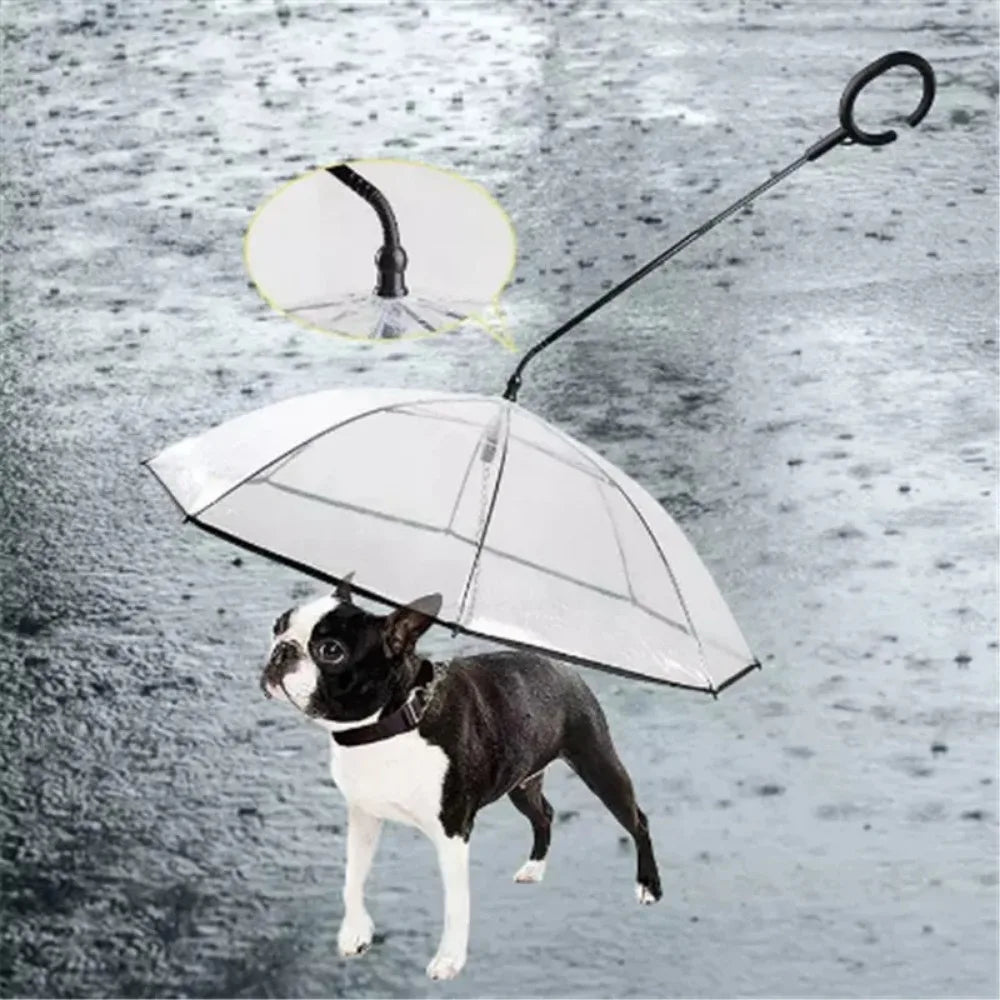 Transparent Dog Umbrella Leash