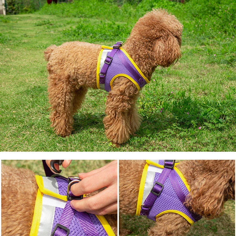 Reflective Pet Harness Vest Set
