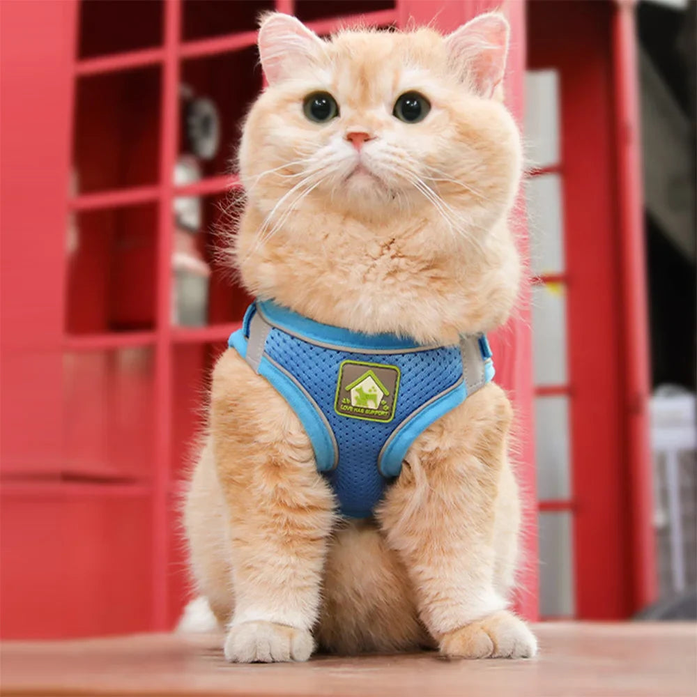 Anti-Escape Cat Harness Set