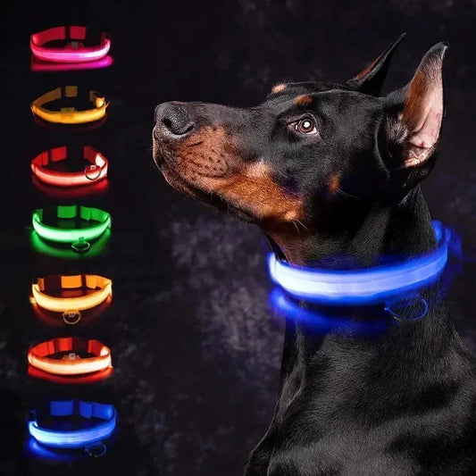 LED Glowing Adjustable Dog Collar