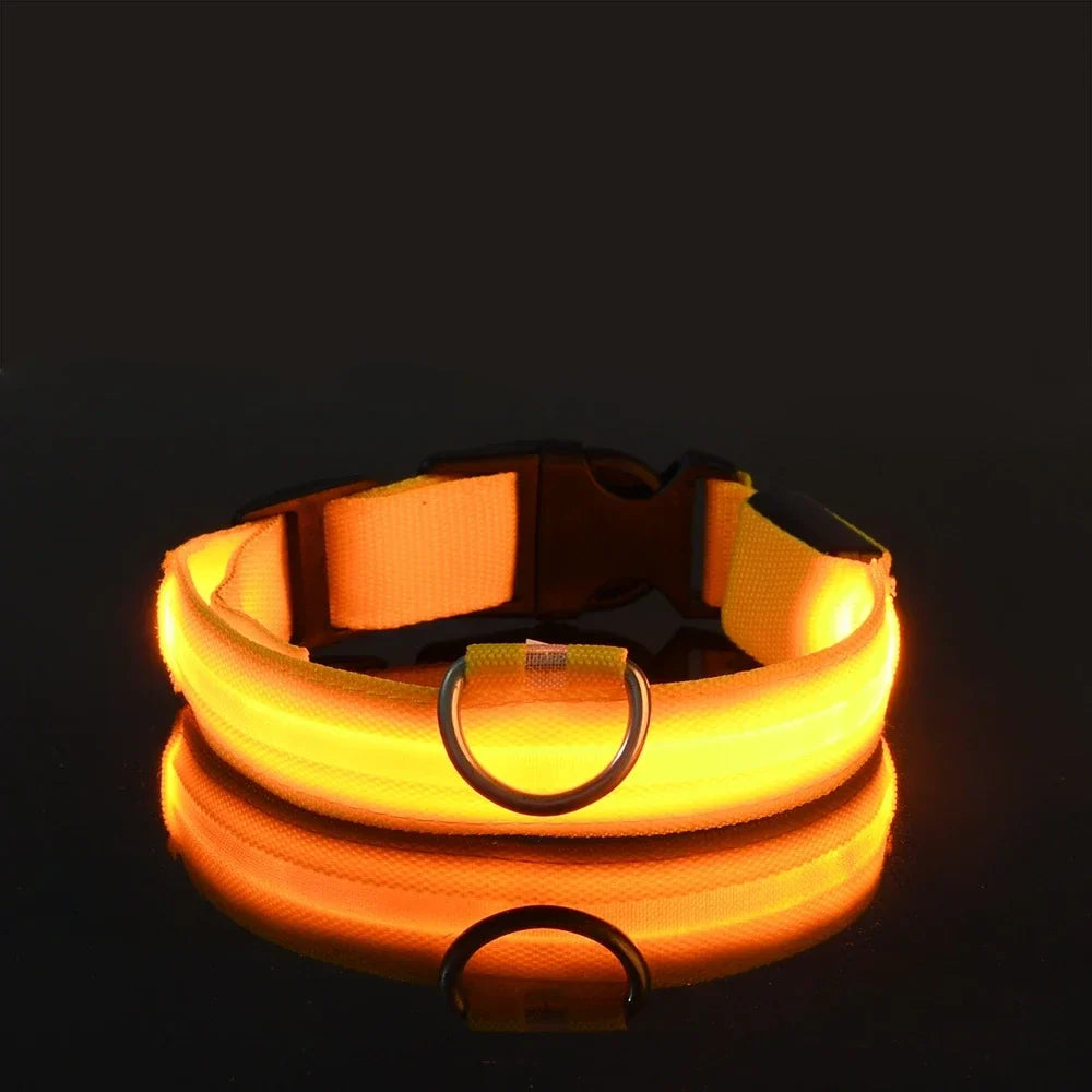 LED Glow Nylon Dog Leash