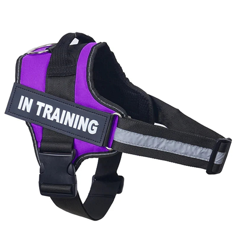 Personalized Reflective No-Pull Harness          Ask ChatGPT