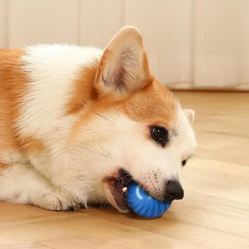 Smart Moving Dog Toy Ball