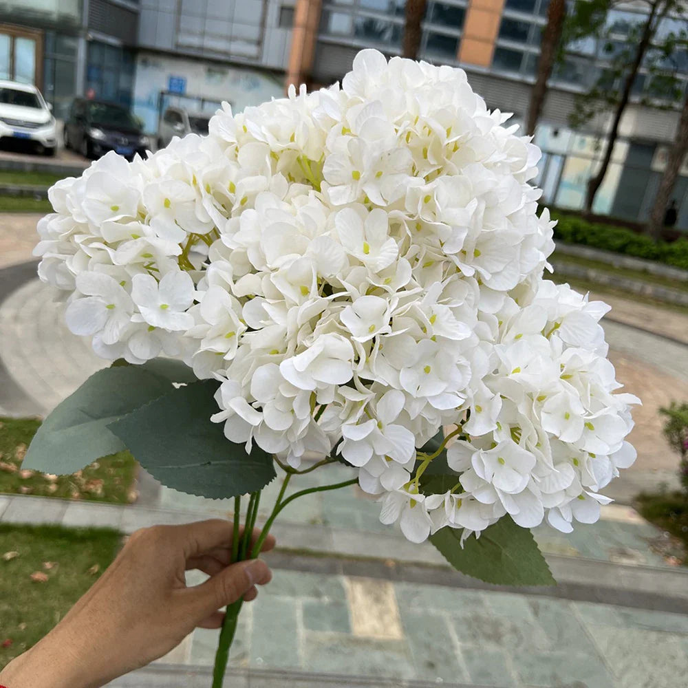 Large Hydrangea Flower Head