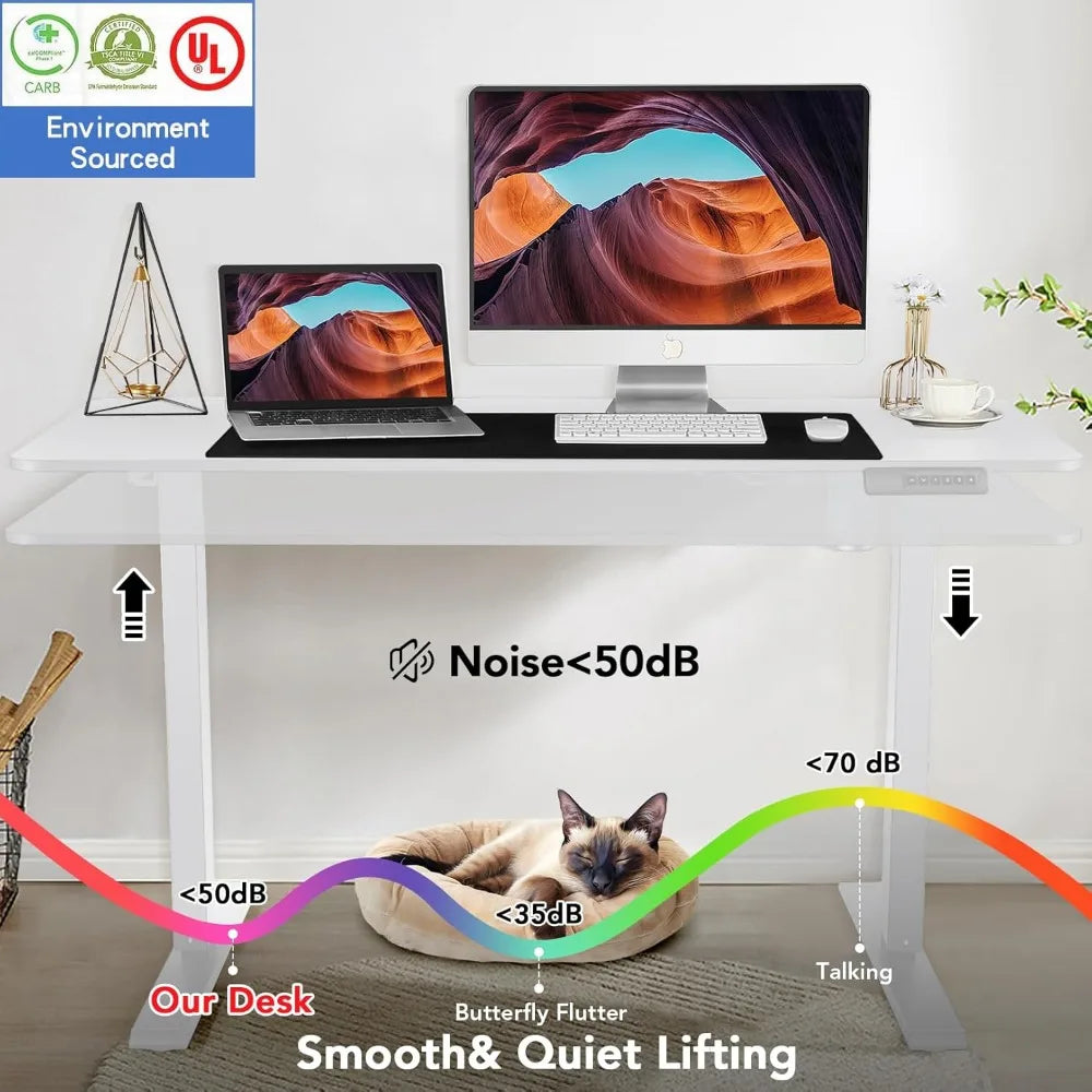 HUANZHUANG 48x24 Inch Electric Standing Desk