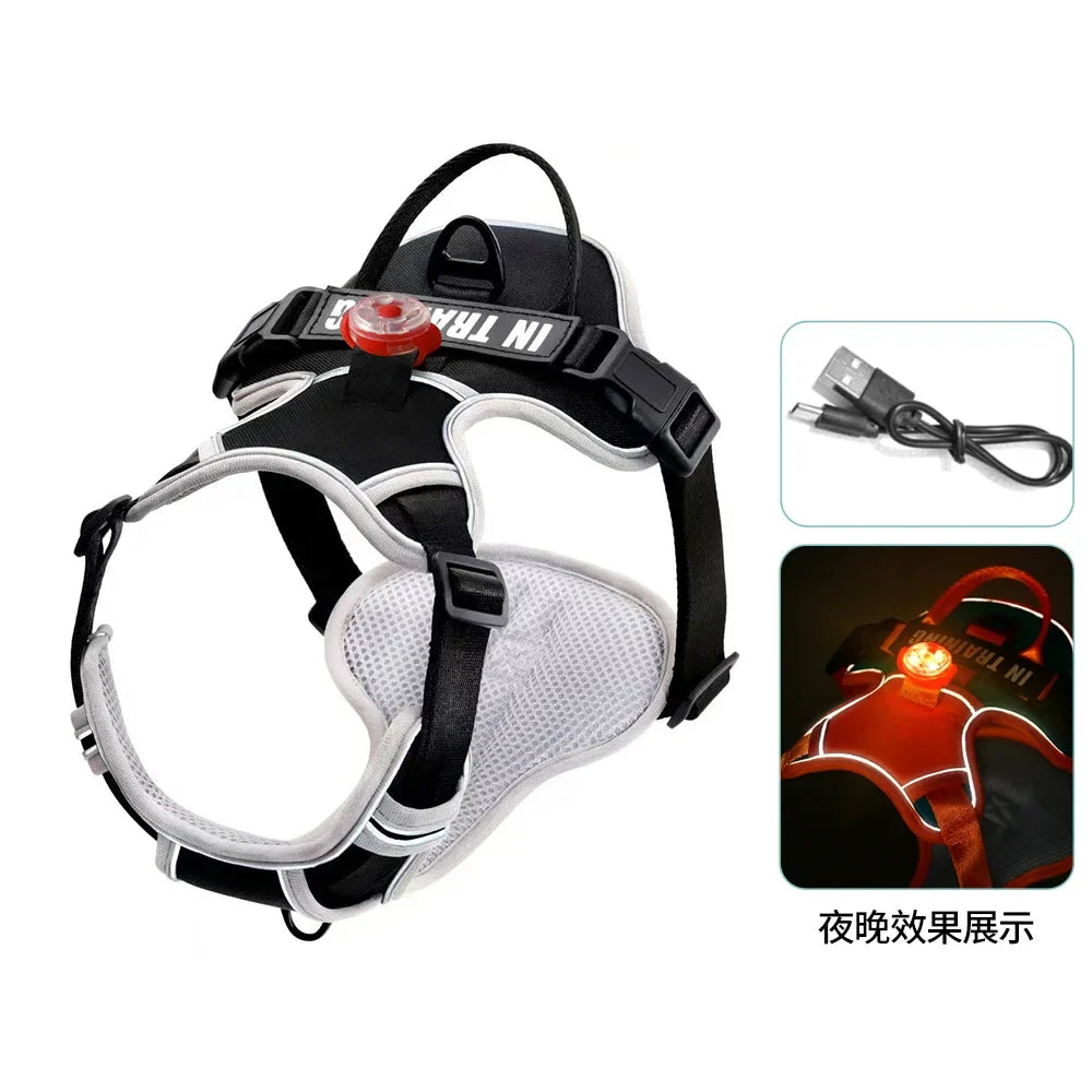 USB Light Dog Harness