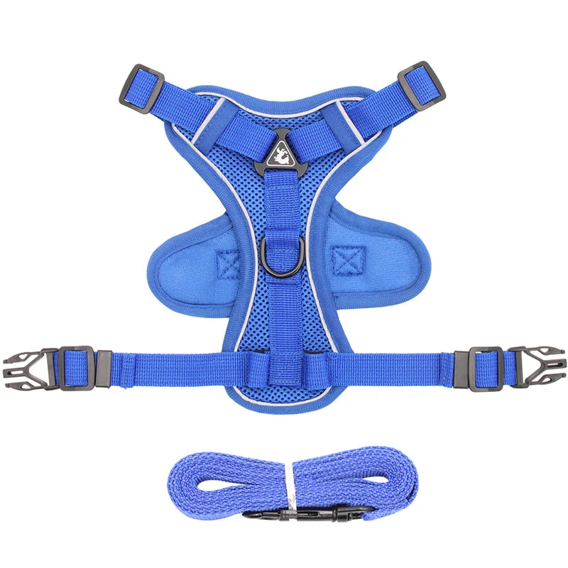 Reflective Mesh Cat Harness Set