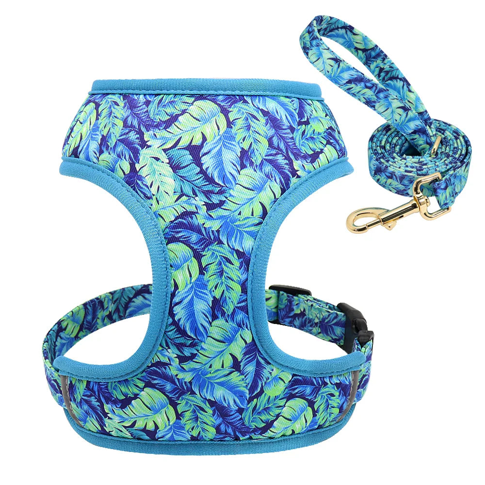 Cute Printed Pet Harness Set
