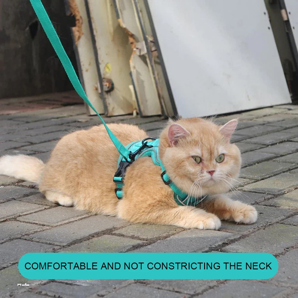 Escape-Proof Reflective Cat Harness