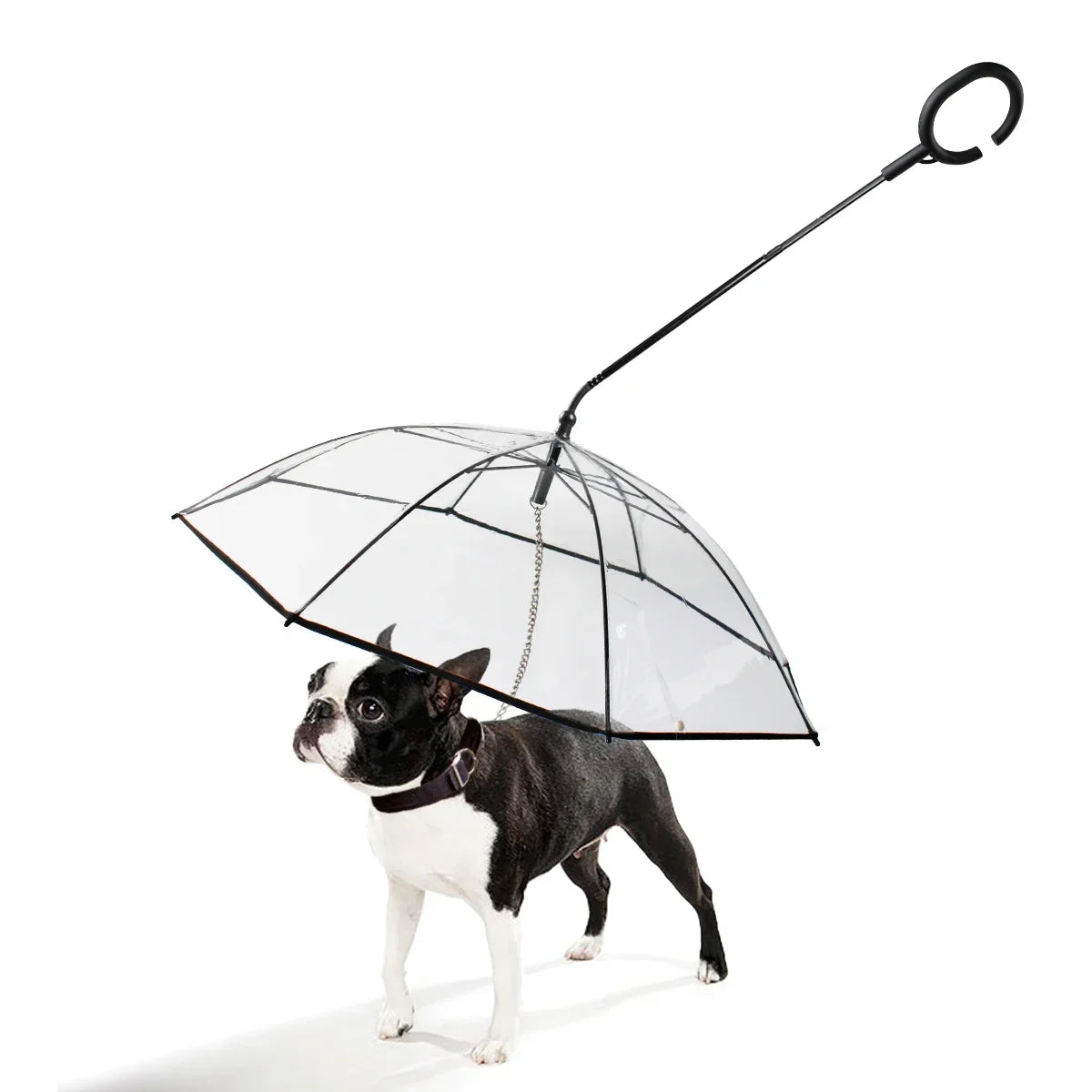Transparent Dog Umbrella Leash