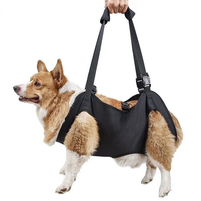 ATUBAN Adjustable Dog Lift Harness