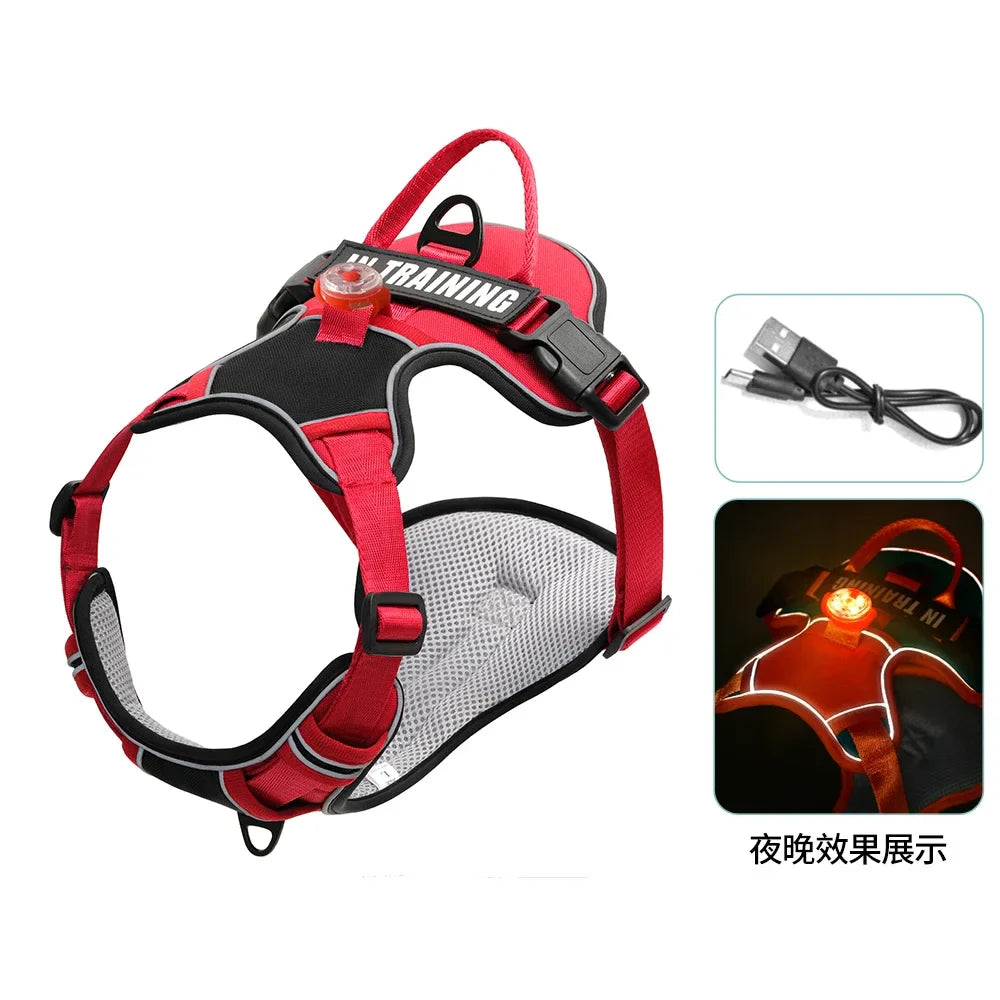 USB Light Dog Harness