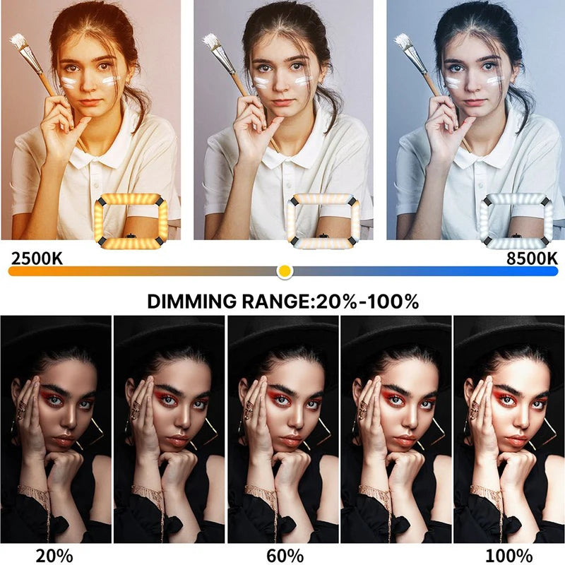 Ulanzi U200 Smartphone Video Rig