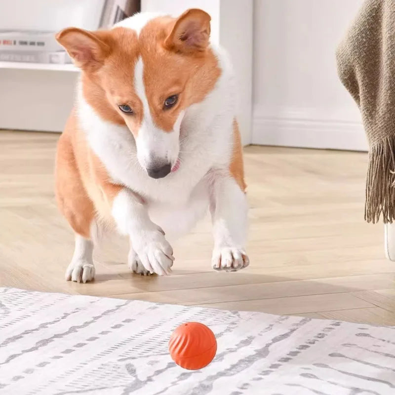 Smart Moving Dog Toy Ball