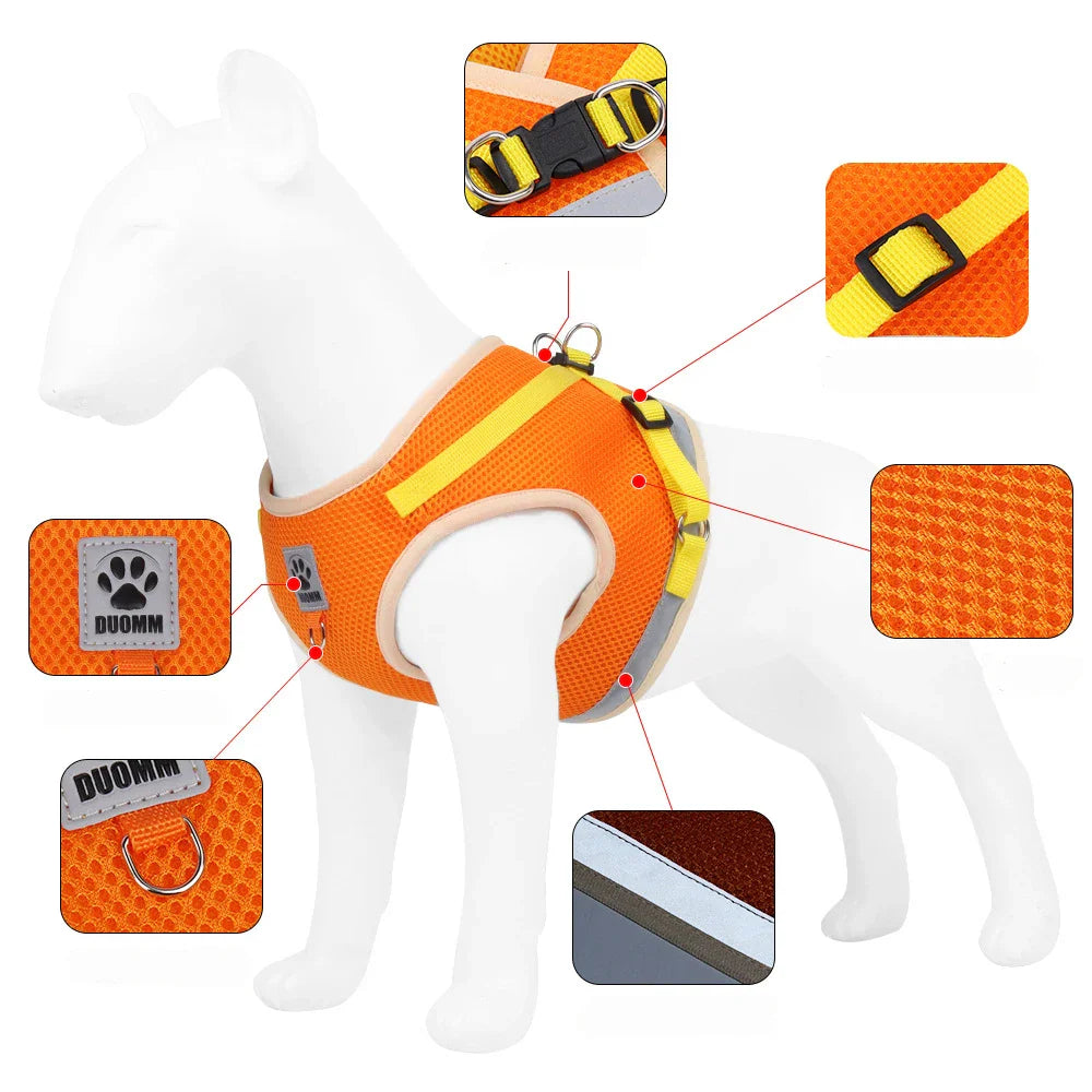 Breathable Summer Cat Harness Set