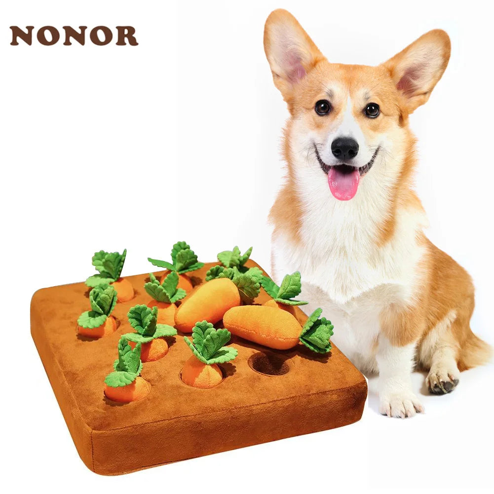 NONOR Carrot Puzzle Chew Toy