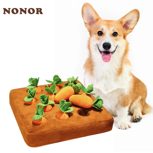 NONOR Carrot Puzzle Chew Toy