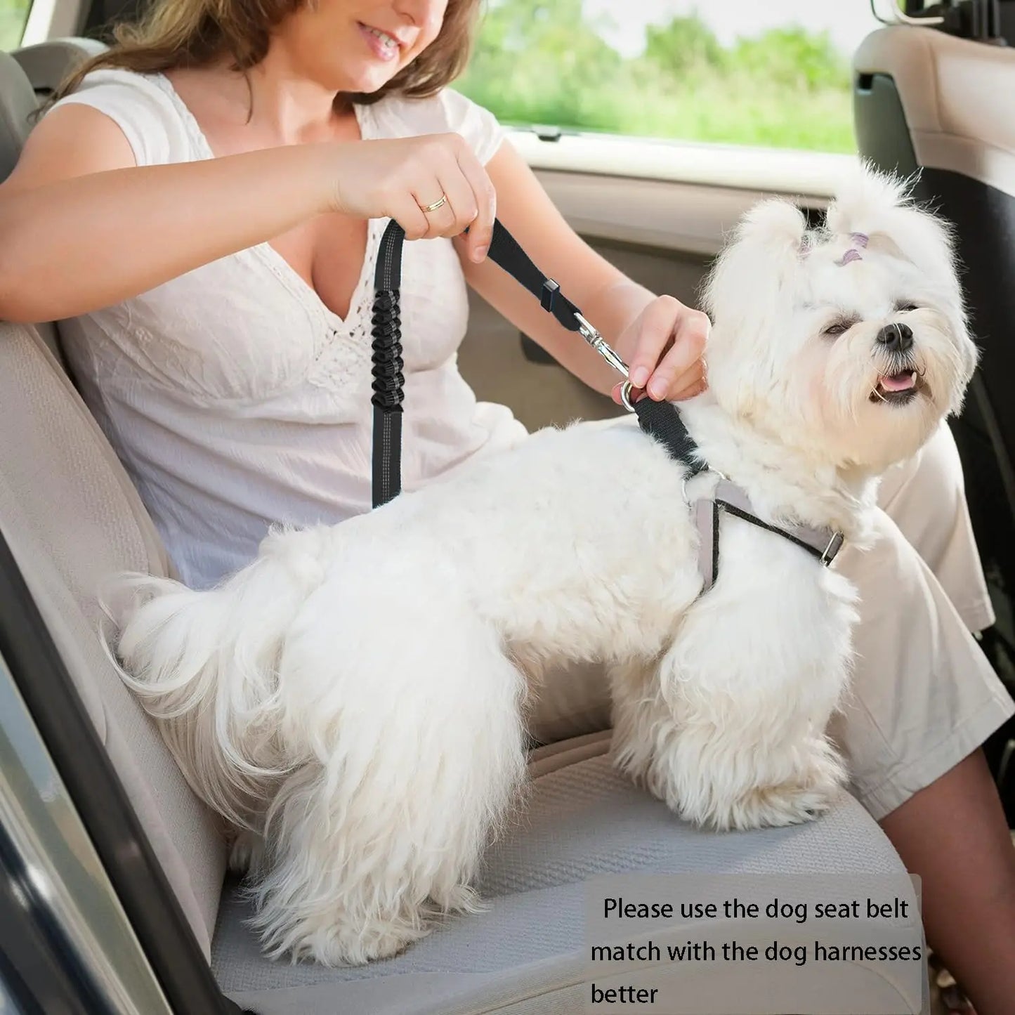 GOYN Heavy Duty Striped Dog Seatbelt