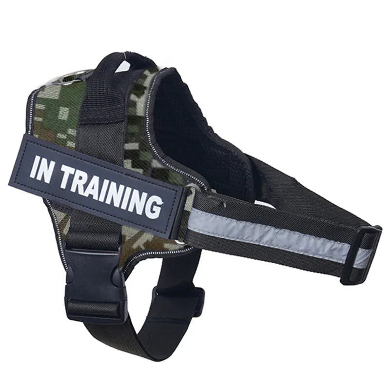 Personalized Reflective No-Pull Harness          Ask ChatGPT