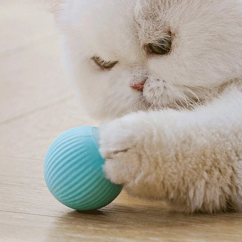 Smart Rolling Cat Toy Ball