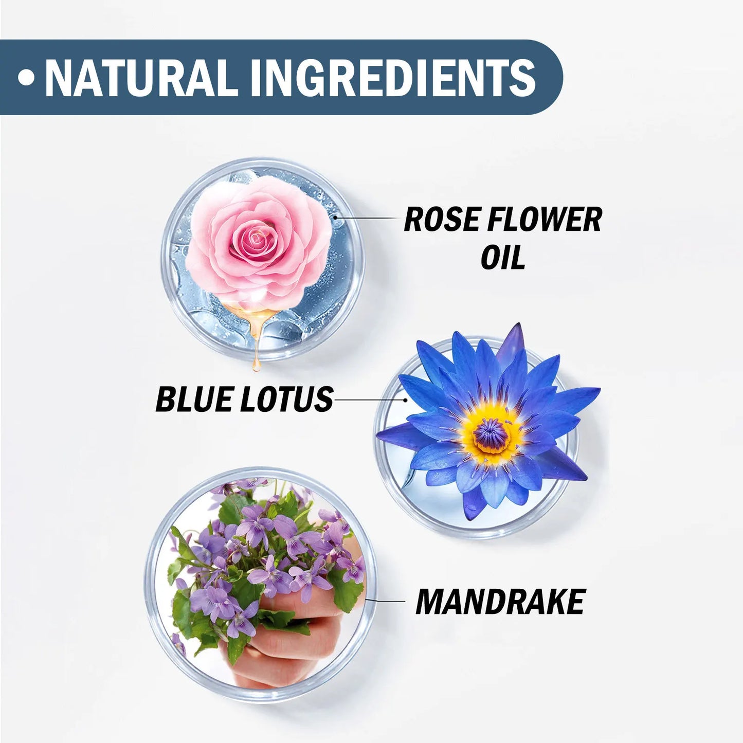 50ml Herbal Perfume – Fresh & Long-Lasting Scent