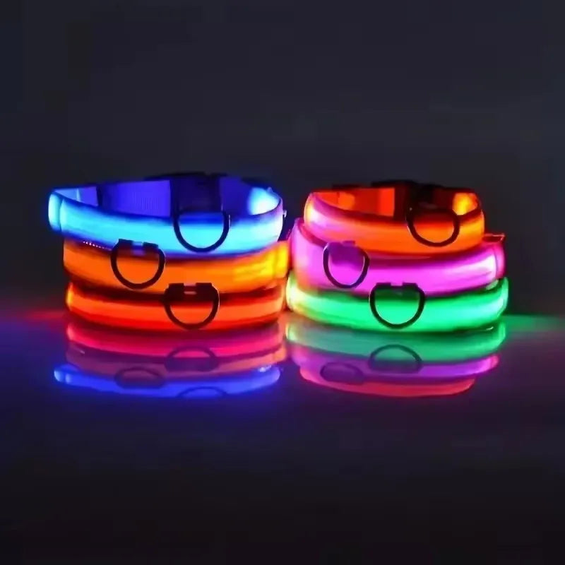 BOOTEELY LED Glow Dog Leash