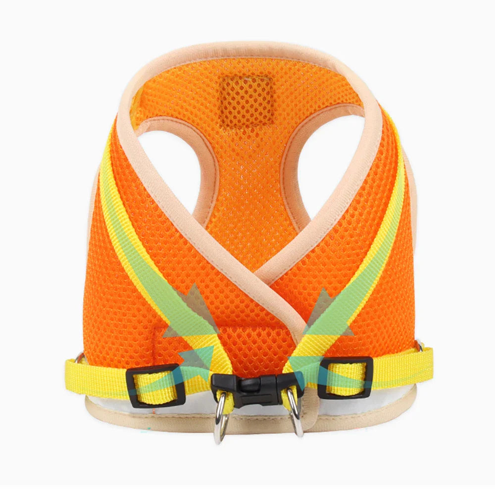 Breathable Summer Cat Harness Set