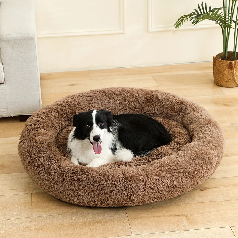 Cozy Plush Dog Bed House