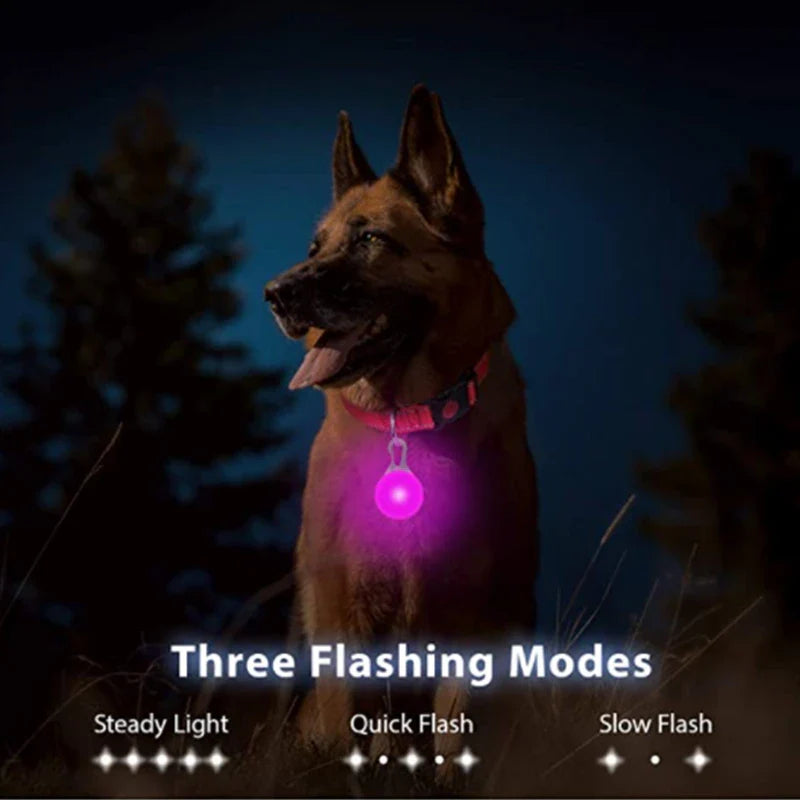 COOYOMOO USB Charging Glowing Dog Collar