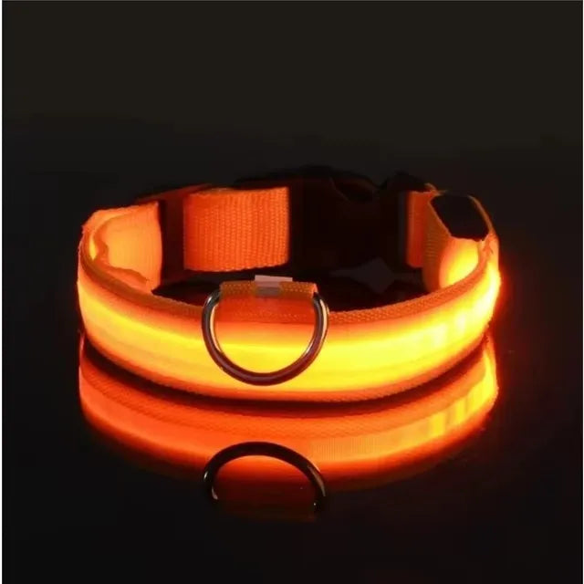 BOOTEELY LED Glow Dog Leash