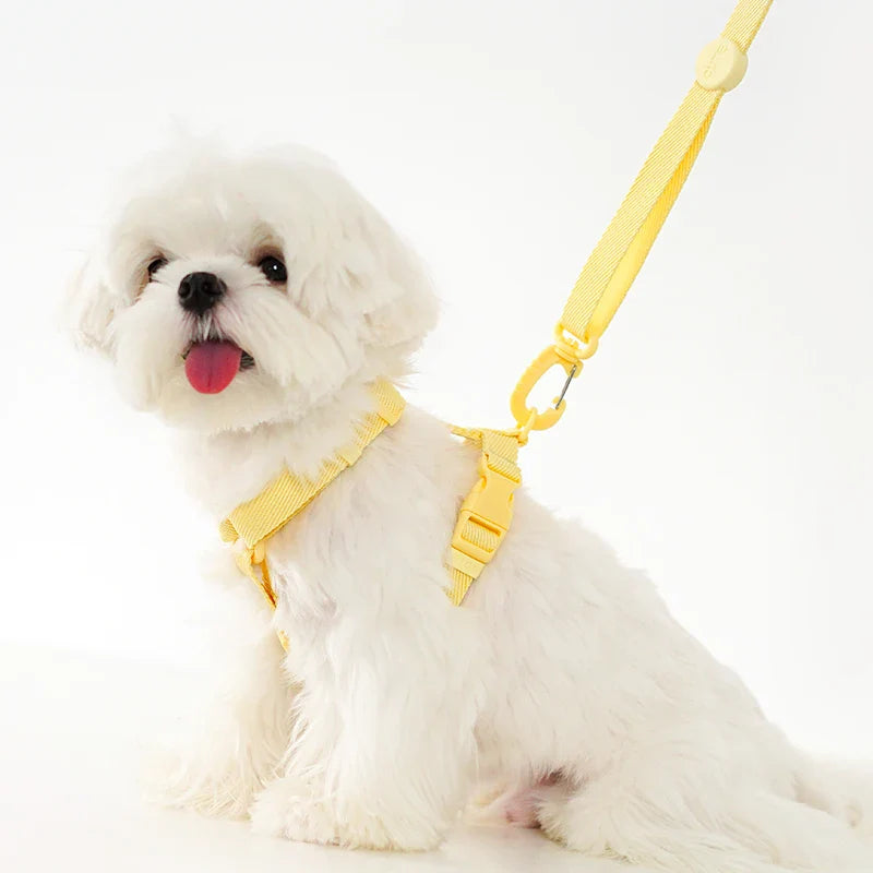 Macaron Dog Harness Leash Set