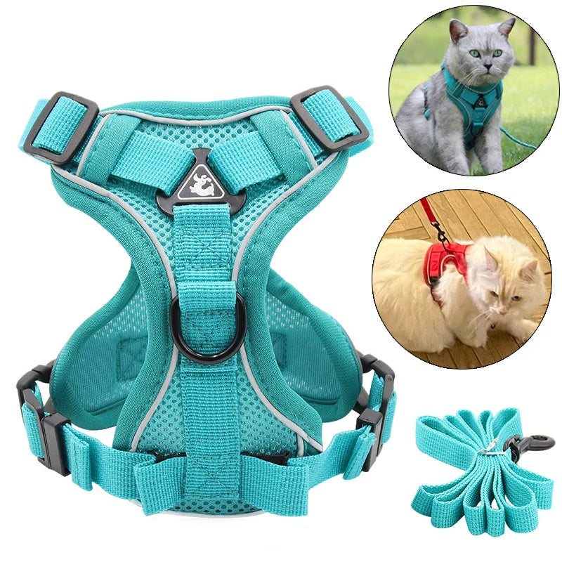 Reflective Mesh Cat Harness Set