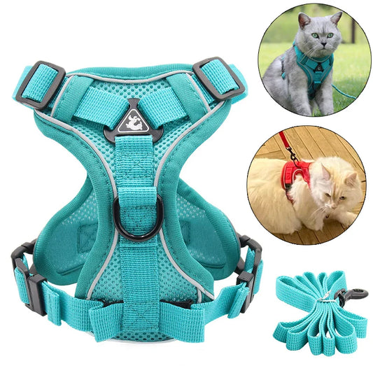 Reflective Mesh Cat Harness Set