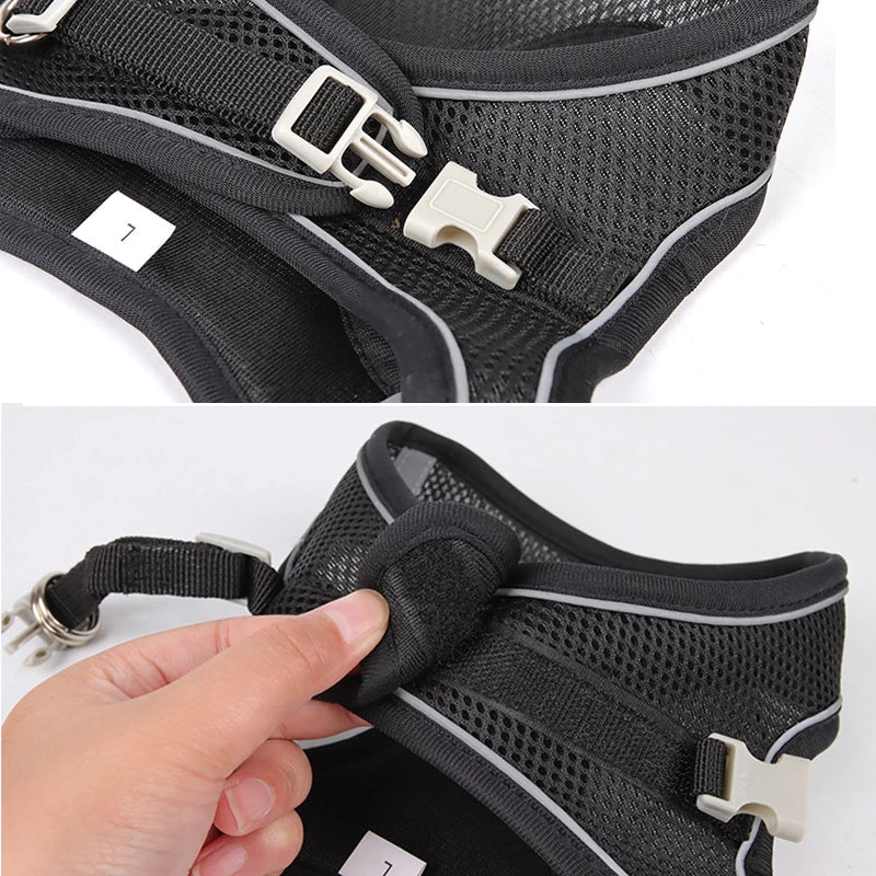 CDDMPET Adjustable Dog Harness Leash Set