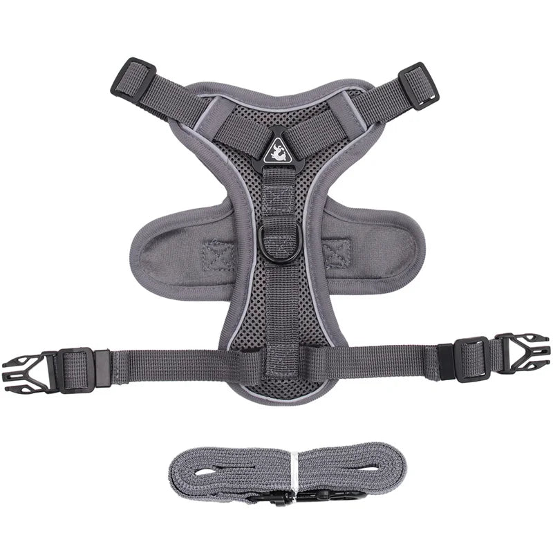 Reflective Mesh Cat Harness Set