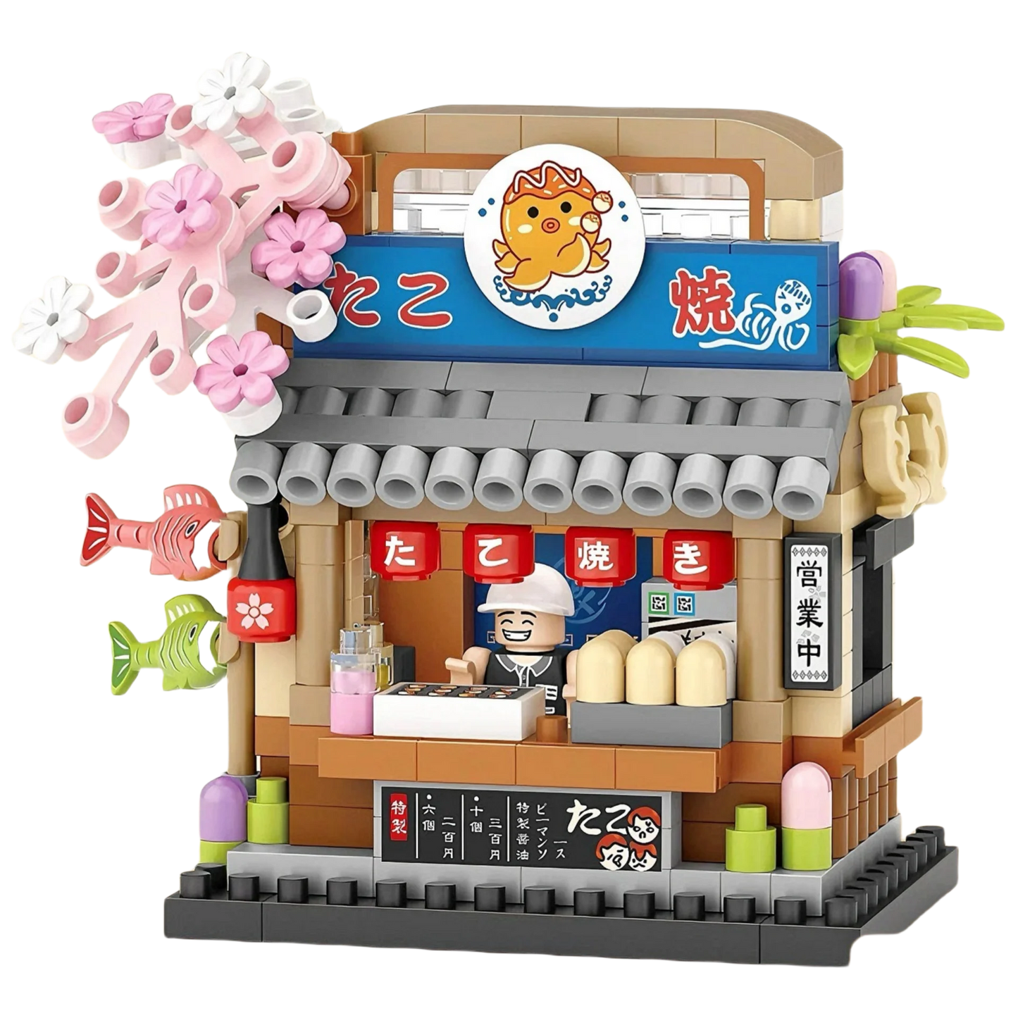 Street View House Blocks