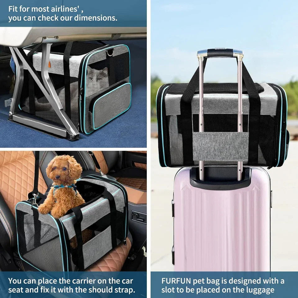 Airline Approved Pet Carrier