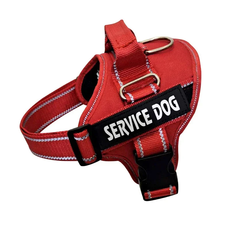 Personalized Reflective No-Pull Harness          Ask ChatGPT