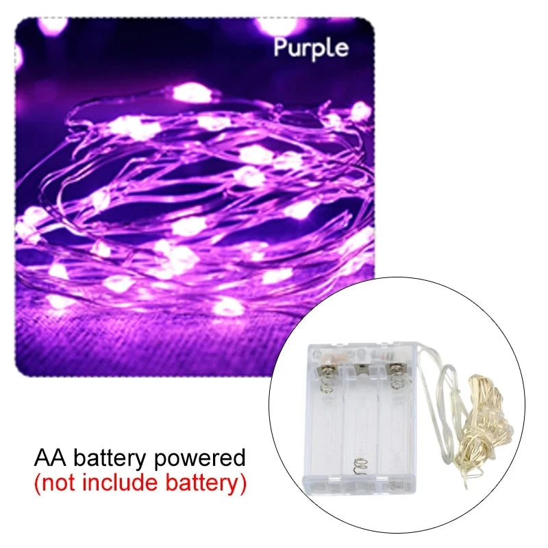 Copper Wire LED String Lights