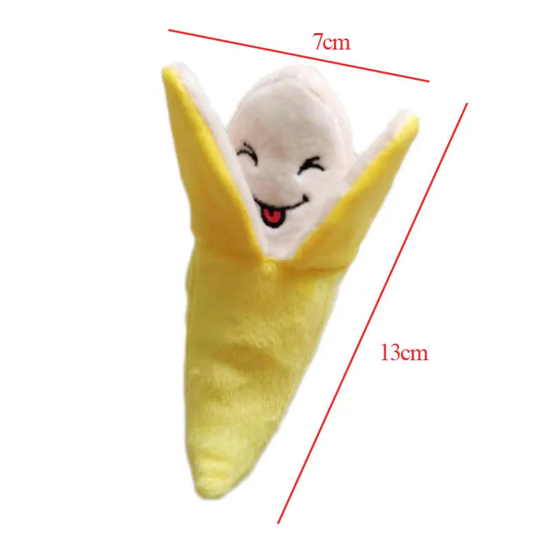 Cute Fruit Squeaky Dog Toy