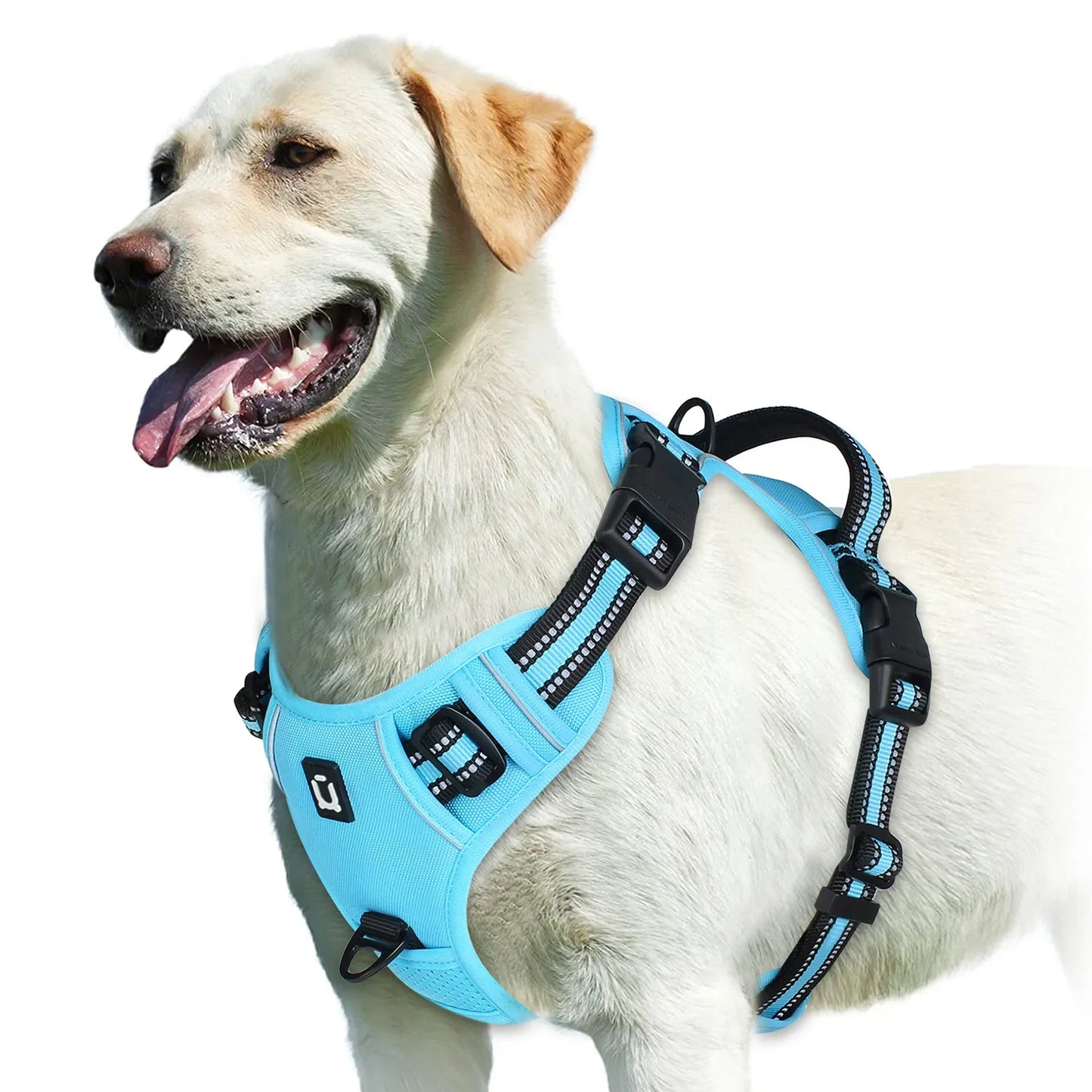 Soft No-Pull Dog Harness
