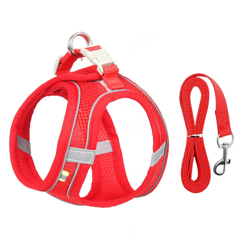 CDDMPET Adjustable Dog Harness Leash Set