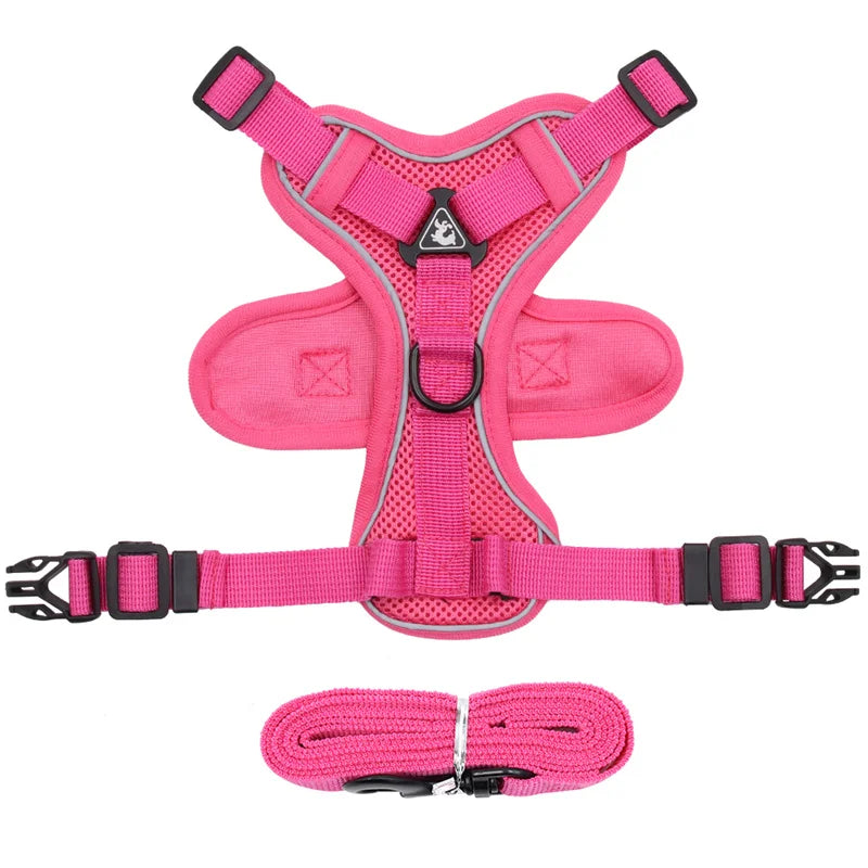 Reflective Mesh Cat Harness Set