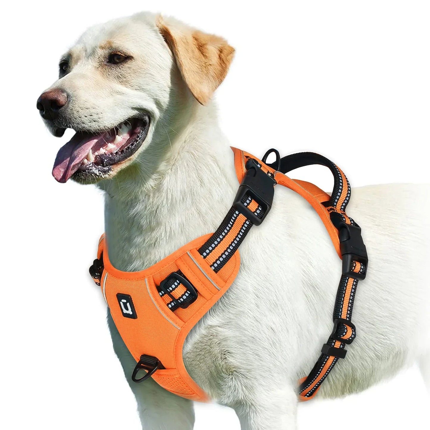 Soft No-Pull Dog Harness