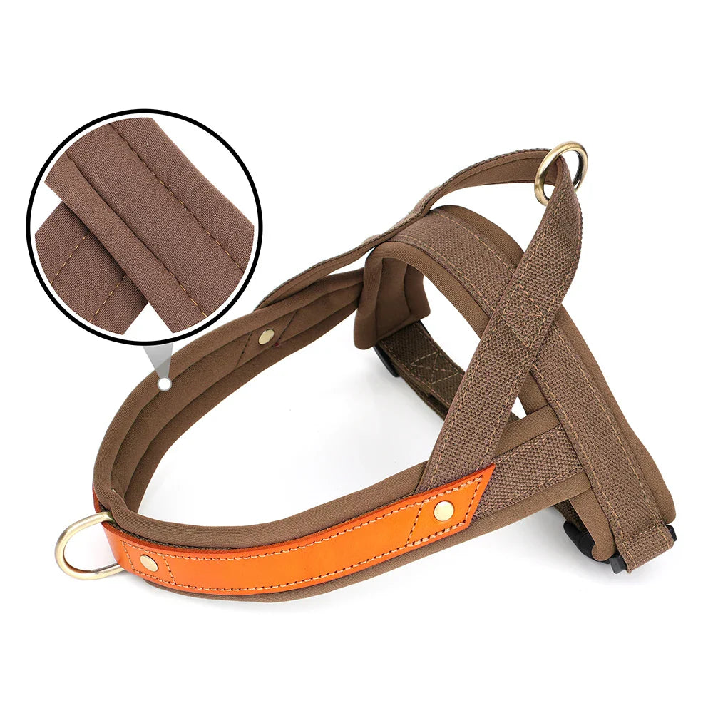 Soft Padded No-Pull Harness