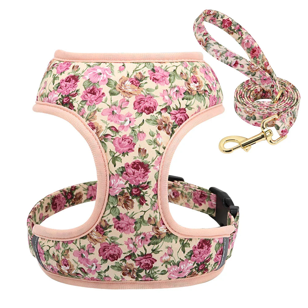 Cute Printed Pet Harness Set