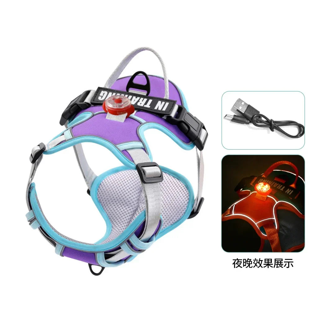 USB Light Dog Harness
